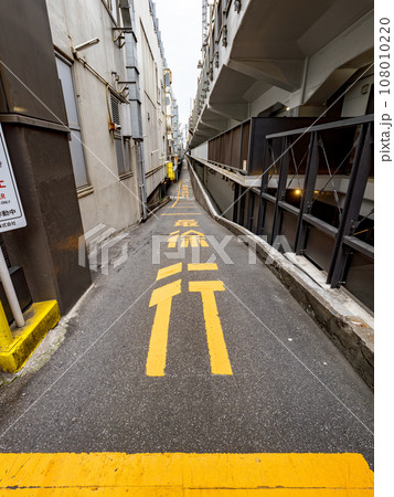 私道の入口に設置された法定外の路面標示【最徐行】 私道の入口に設置された法定外の路面標示【最徐行】 108010220