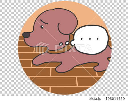 一隻眼睛圓圓的狗,看起來像是想說什麼 一隻眼睛圓圓的狗,看起來像是想說什麼 108011350