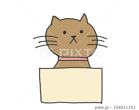 ダンボールに入って無表情の猫 108011352