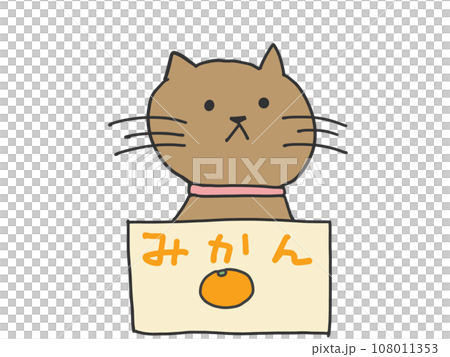 紙箱裡的貓 108011353