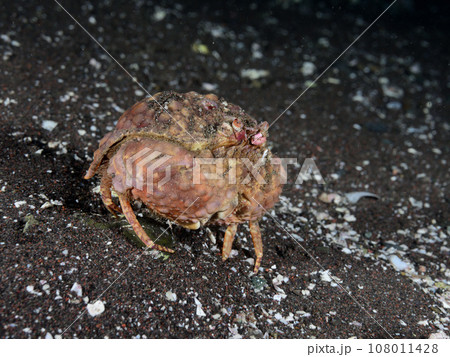 マルコブカラッパ 108011428