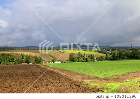 パッチワークの路（北海道・上川郡美瑛町） 108011596