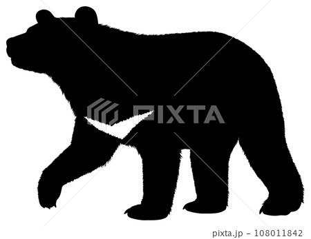 ツキノワグマ ツキノワグマ 108011842