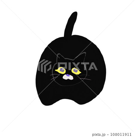 ずんぐりむっくりした黒猫 108011911