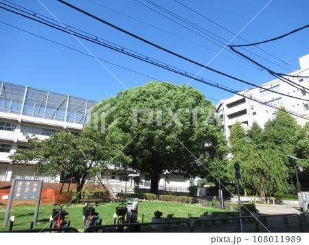 練成公園付近 108011989