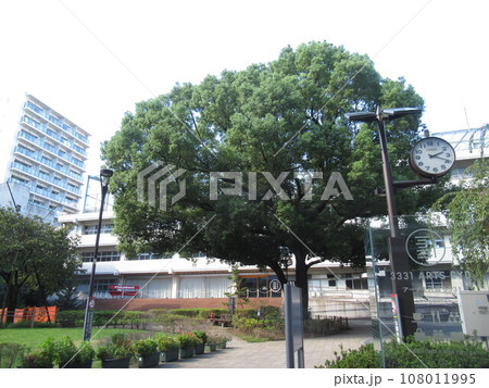 練成公園付近 108011995