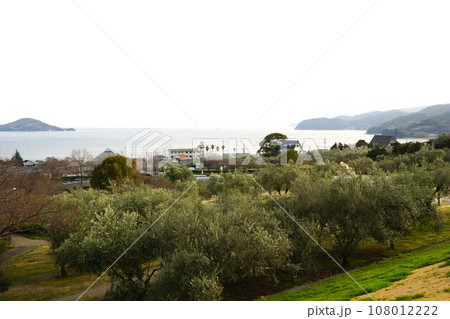 小豆島の風景 オリーブ公園から見た瀬戸内海(小豆島) 小豆島の風景 オリーブ公園から見た瀬戸内海(小豆島) 108012222