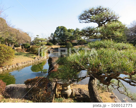 池がある日本庭園の松の木 池がある日本庭園の松の木 108012775