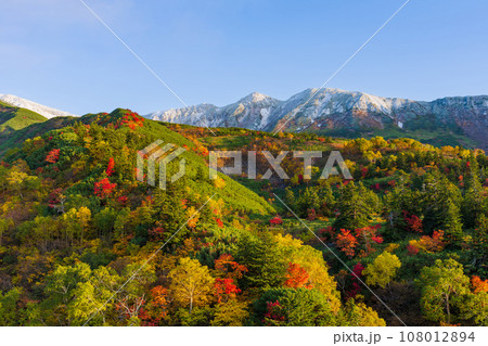 十勝岳温泉凌雲閣 秋の紅葉 十勝岳温泉凌雲閣 秋の紅葉 108012894
