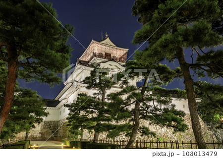 富山城 富山市郷土博物館 富山県富山市 富山城 富山市郷土博物館 富山県富山市 108013479