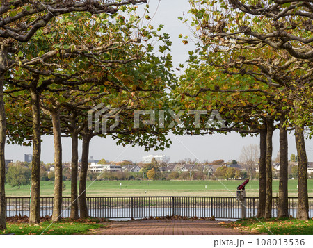 the city of Dusseldorf at the rhine river the city of Dusseldorf at the rhine river 108013536