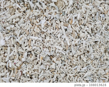 サンゴのビーチ21　沖縄 108013628