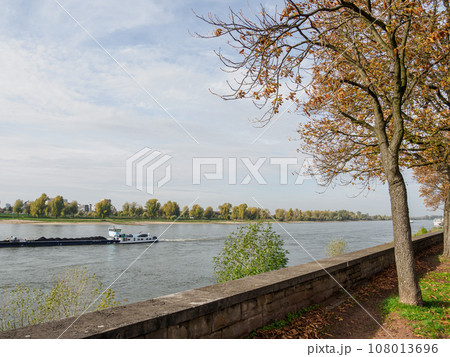 the city of Dusseldorf at the rhine river 108013696
