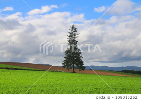 新栄の丘展望公園からの眺望（北海道・上川郡美瑛町） 108015262