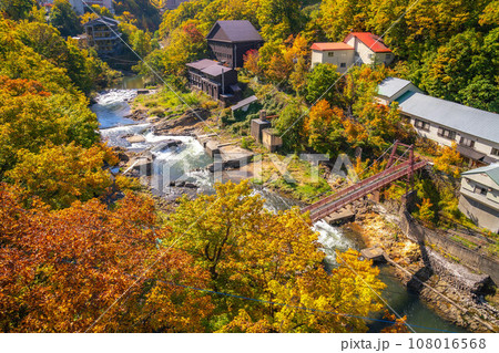 定山渓の紅葉 108016568