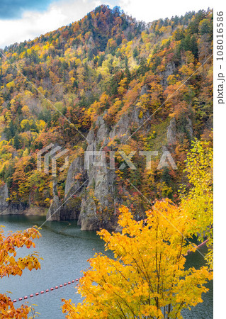 豊平峡ダムの紅葉 豊平峡ダムの紅葉 108016586