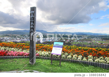 日の出公園ラベンダー園（北海道・上川郡美瑛町） 108016842
