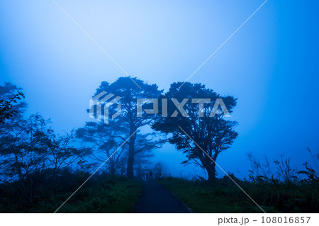 宮崎県高千穂の国見が丘展望台の朝靄 108016857