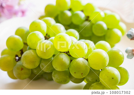 ナイアガラ ナイアガラ 108017302