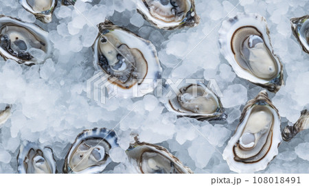 Fresh opened oyster offered as top view on crushed ice Fresh opened oyster offered as top view on crushed ice 108018491