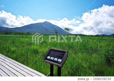 夏の戦場ヶ原 見晴らしの良い木道から男体山を臨む 夏の戦場ヶ原 見晴らしの良い木道から男体山を臨む 108019230