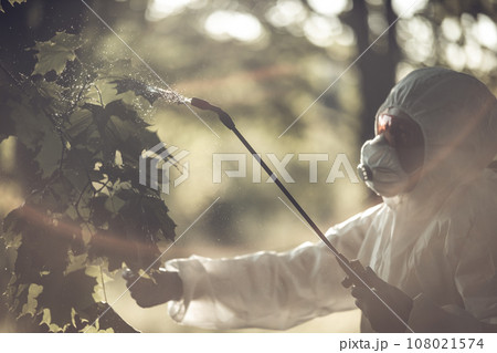 A worker sprays pesticides on trees outdoors. Tree pest control 108021574