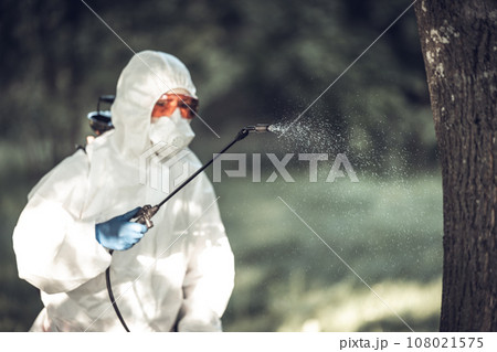 A worker sprays pesticides on trees outdoors. Tree pest control A worker sprays pesticides on trees outdoors. Tree pest control 108021575