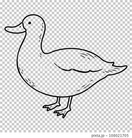 Simple and cute hand-drawn illustration of a white duck - line drawing only 108021705