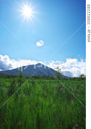 夏の奥日光戦場ヶ原から男体山を臨む 夏の奥日光戦場ヶ原から男体山を臨む 108022288