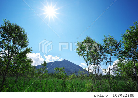 夏の奥日光戦場ヶ原から男体山を臨む 108022289
