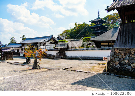 【奈良県】葛城市 當麻寺 (2023/10/17撮影) 108022300