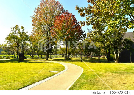 初秋の公園散歩 初秋の公園散歩 108022832