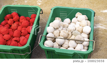 赤白ボール　グランド　スポーツ 108023038