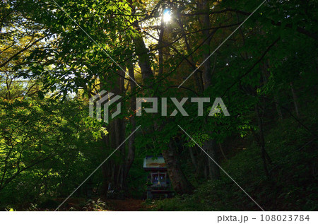 福島県西白河郡西郷村のパワースポット 剣桂神社 福島県西白河郡西郷村のパワースポット 剣桂神社 108023784