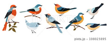 Set of decorative birds hand draw flat style Set of decorative birds hand draw flat style 108023895