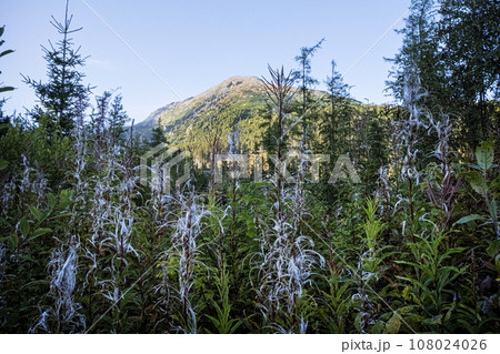 Patria peak, High Tatras mountain, Slovakia 108024026