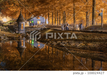 ムーミン谷の夜 108024427