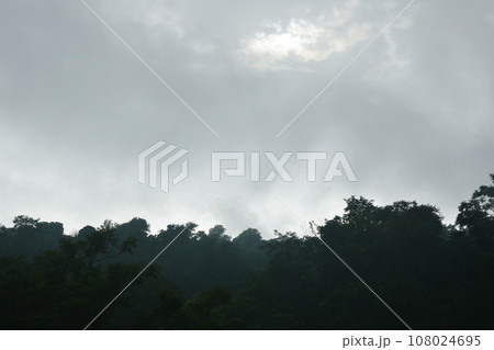 landscape of mountain with mist at Nang rong waterfall travel location in Thailand landscape of mountain with mist at Nang rong waterfall travel location in Thailand 108024695
