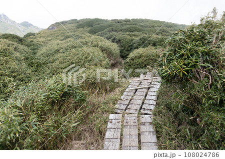 屋久島の宮之浦岳から永田岳の景色 屋久島の宮之浦岳から永田岳の景色 108024786