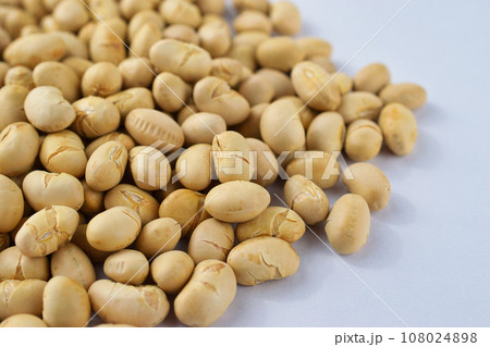 節分豆 節分豆 108024898