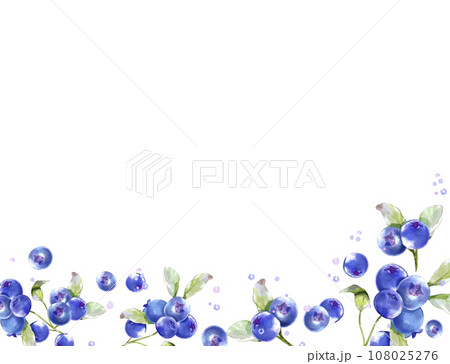 ブルーベリーの水彩　背景素材 108025276