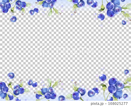 藍莓水彩背景素材 108025277
