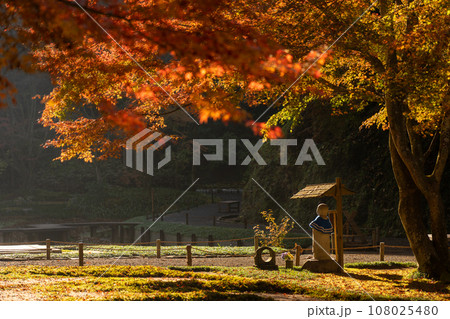 紅葉とお地蔵さん 紅葉とお地蔵さん 108025480