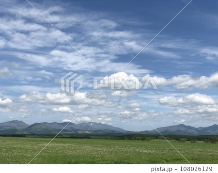 牧草地から見る田園風景 108026129