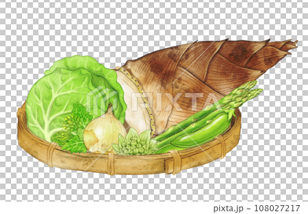 水彩畫竹籃上的春菜 水彩畫竹籃上的春菜 108027217