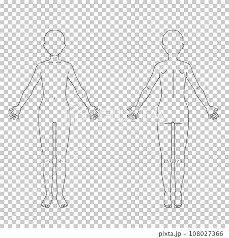 Whole body schema diagram No face 108027366