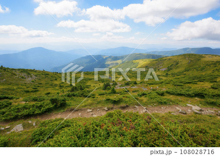 path through the mountain hill. wonderful landscape of carpathian mountains in summer. travel ukraine. green scenery in dappled light. clouds on the blue sky path through the mountain hill. wonderful landscape of carpathian mountains in summer. travel ukraine. green scenery in dappled light. clouds on the blue sky 108028716