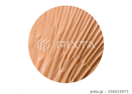 Pleurotus eryngii mushrooms on a dark concrete background 108028975