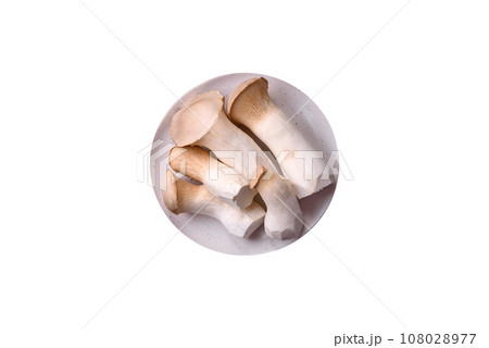 Pleurotus eryngii mushrooms on a dark concrete background Pleurotus eryngii mushrooms on a dark concrete background 108028977