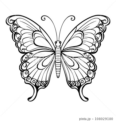 Butterflies Fly Coloring Pages Drawing For Kids 108029180